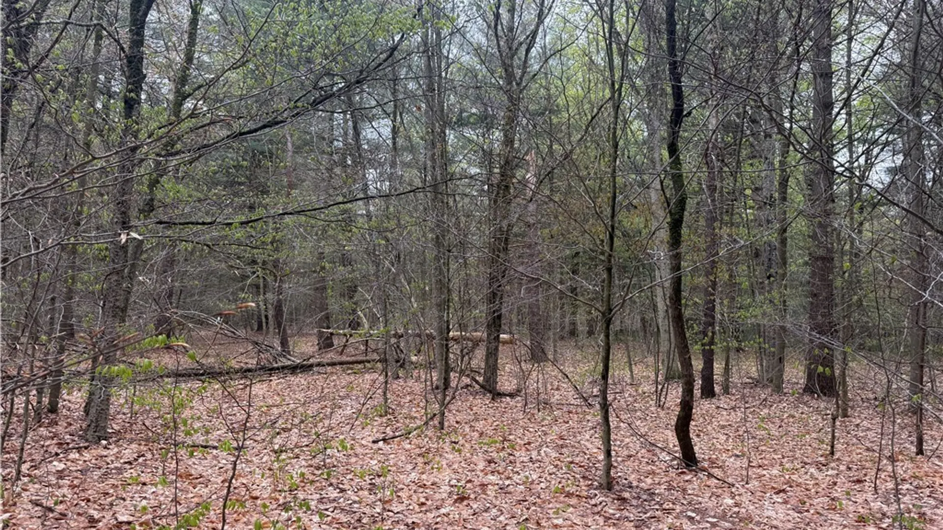 Property at Town Line Road, Lyonsdale, NY 13368 8