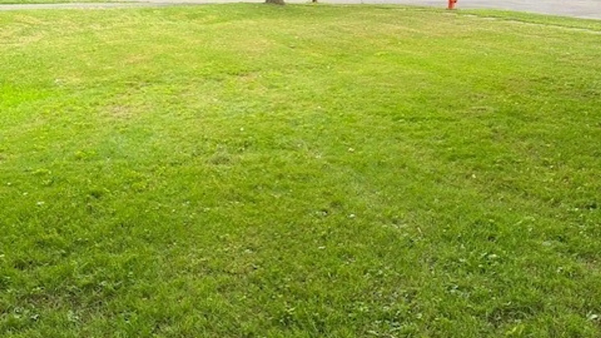Property at Butterfield Avenue, Watertown City, NY 13601 5