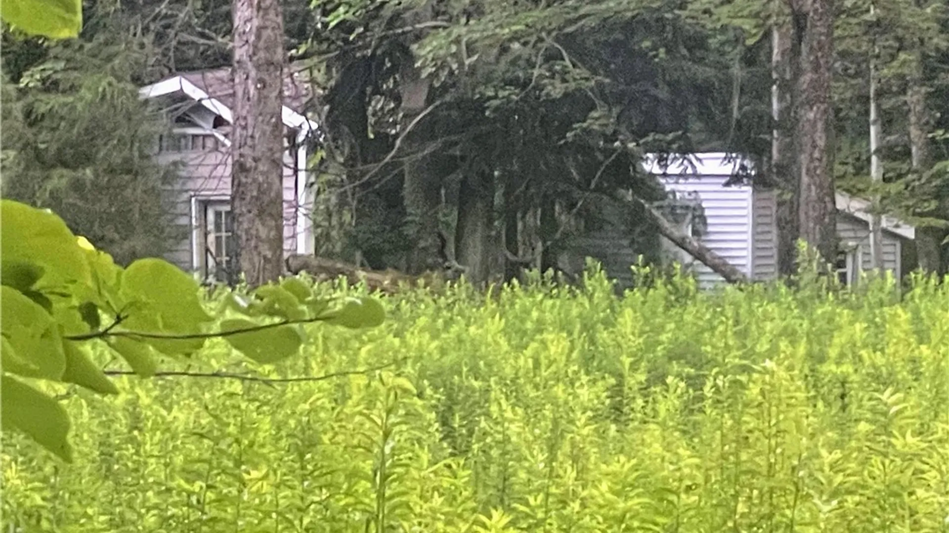 Property at 178 Tanner Drive, West Monroe, NY 13167 7