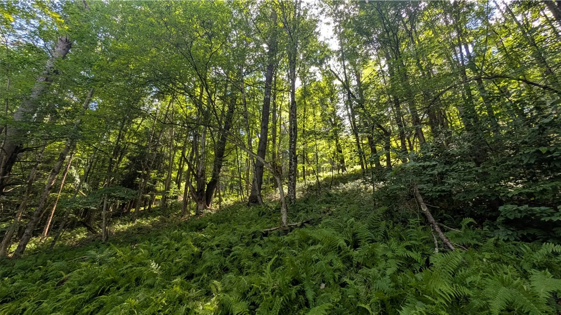 Property at 2592 County Highway 8, Otego, NY 13825 11