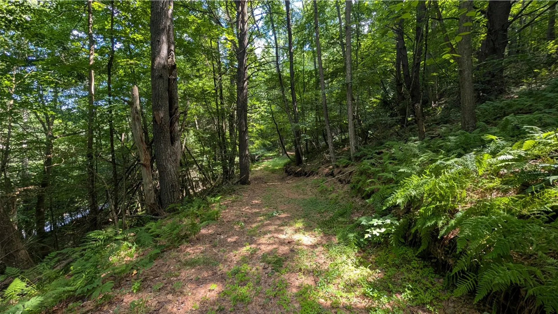 Property at 2592 County Highway 8, Otego, NY 13825 12