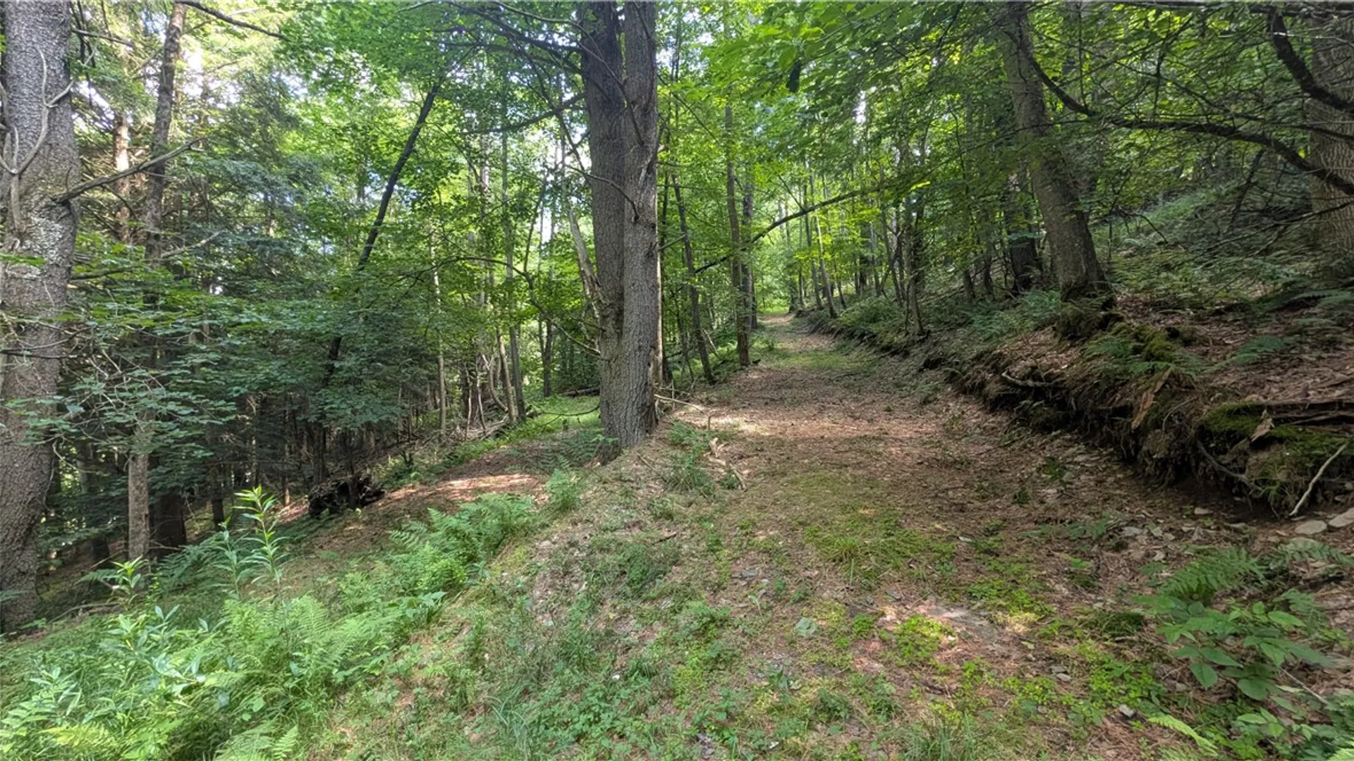 Property at 2592 County Highway 8, Otego, NY 13825 13