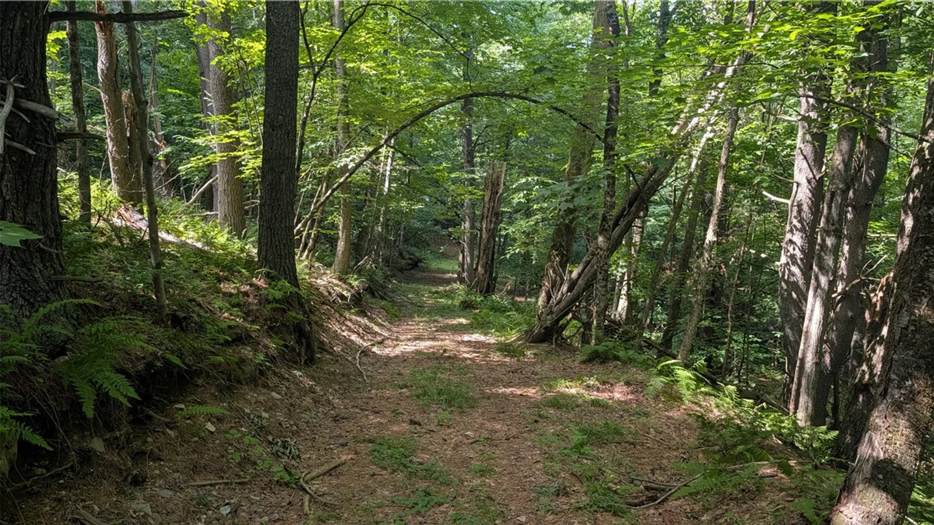 Property at 2592 County Highway 8, Otego, NY 13825 16