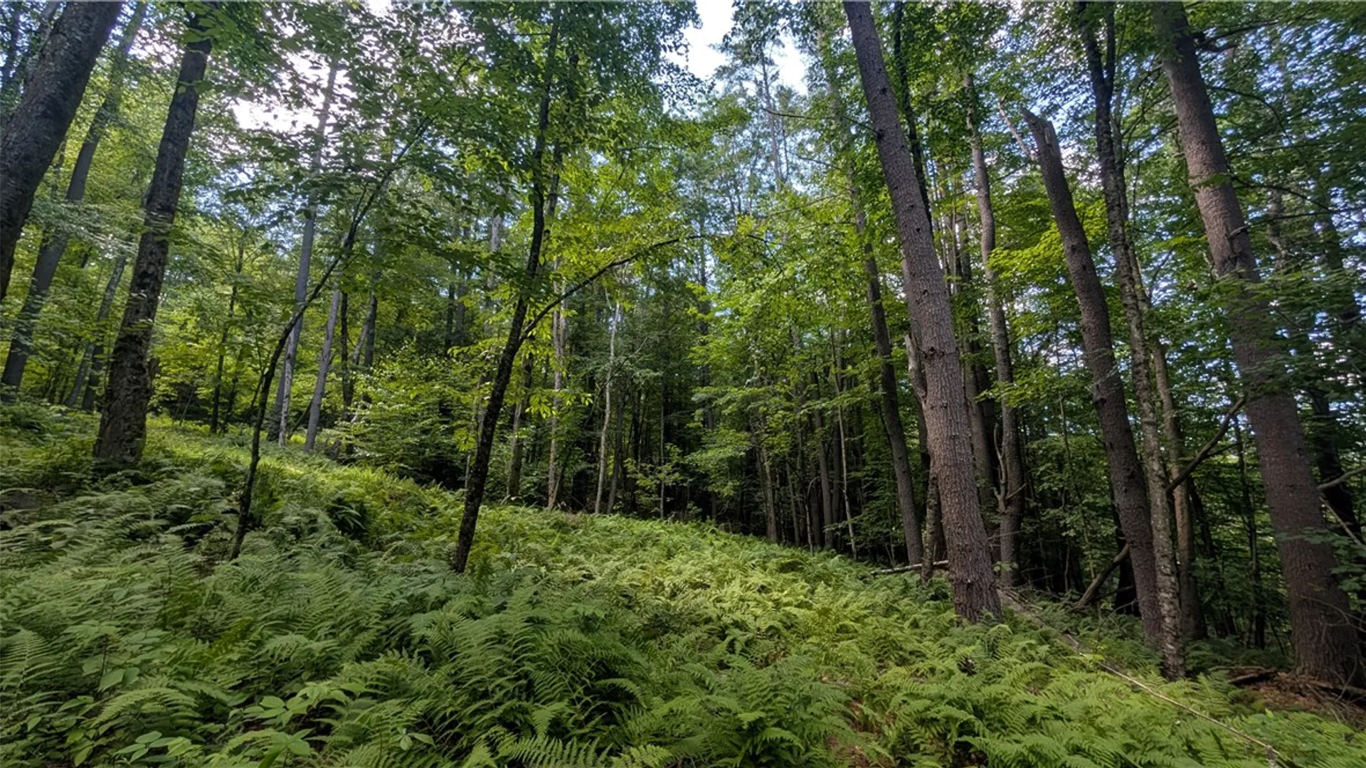Property at 2592 County Highway 8, Otego, NY 13825 17