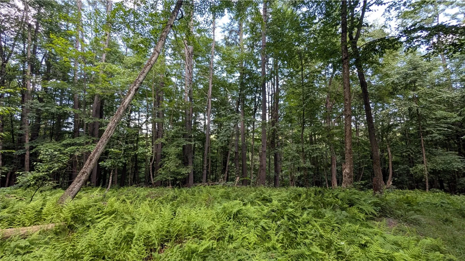 Property at 2592 County Highway 8, Otego, NY 13825 18