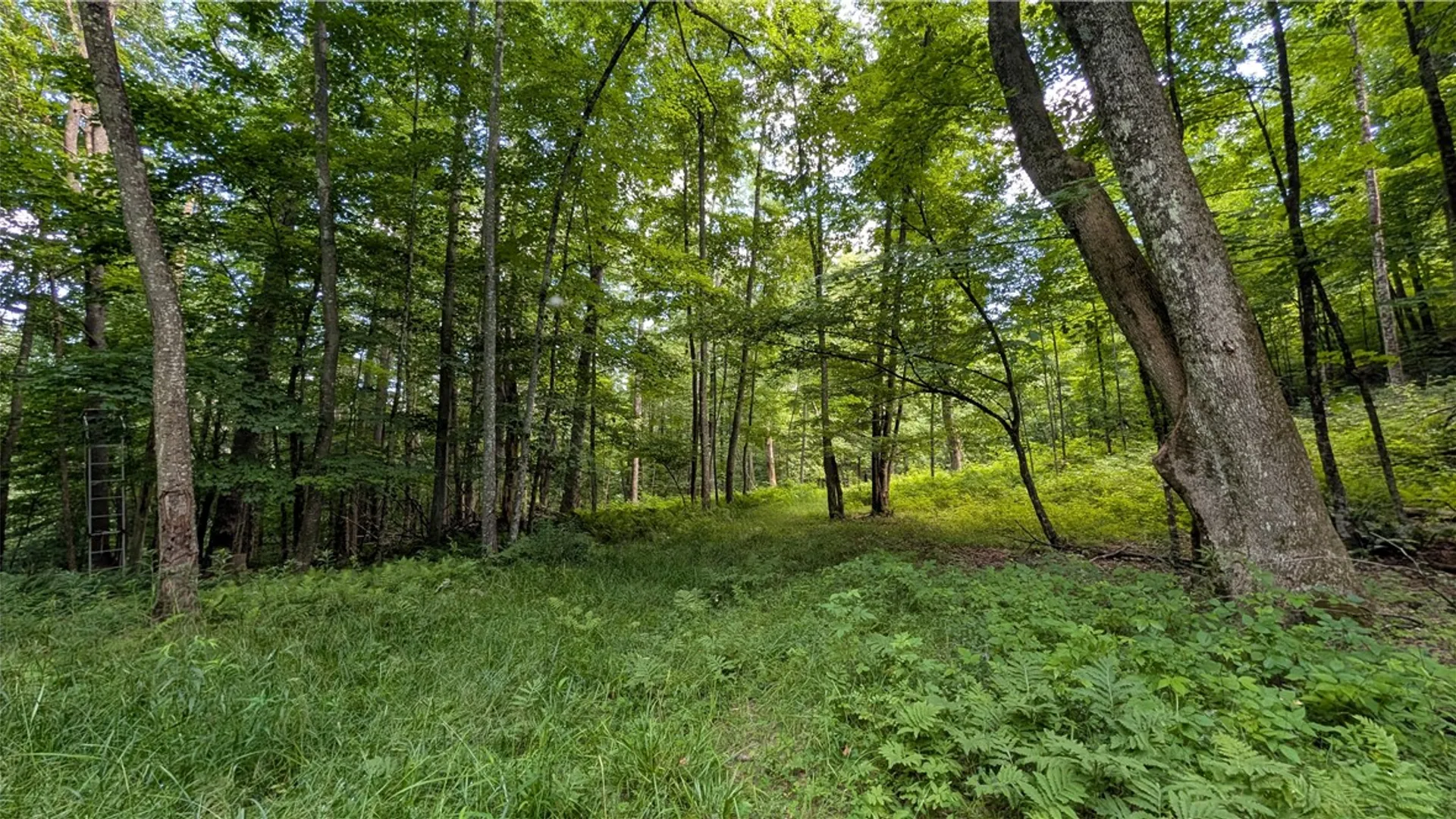 Property at 2592 County Highway 8, Otego, NY 13825 20