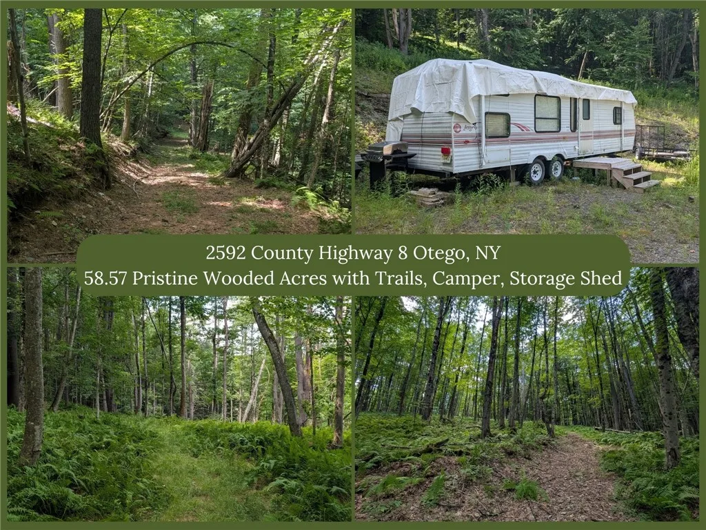Property at 2592 County Highway 8, Otego, NY 13825