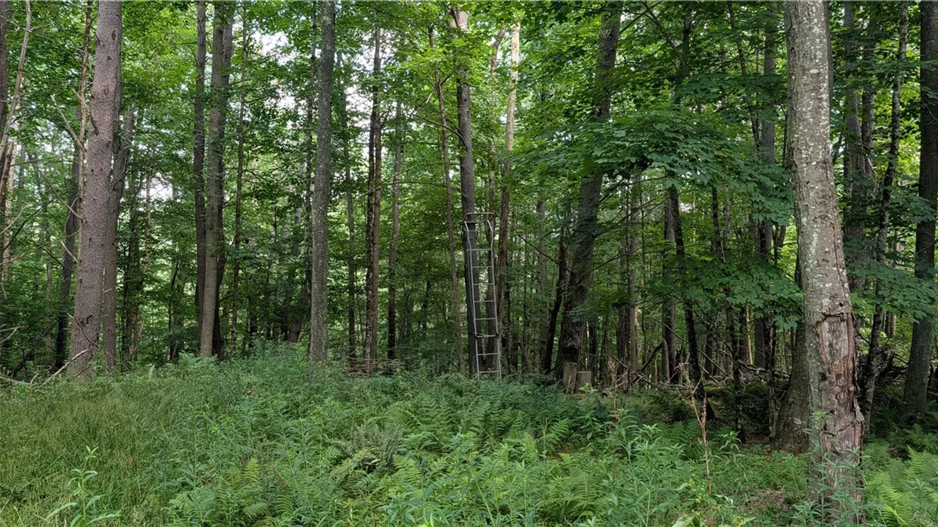 Property at 2592 County Highway 8, Otego, NY 13825 21