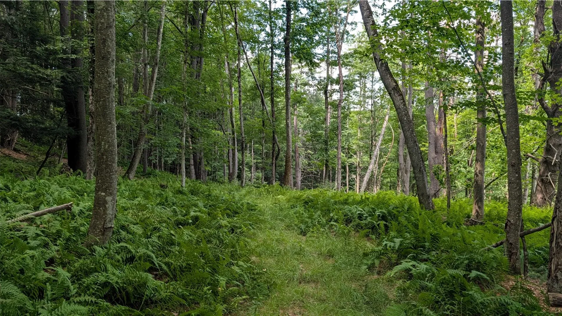 Property at 2592 County Highway 8, Otego, NY 13825 22