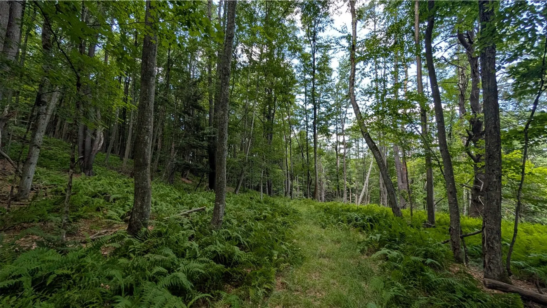 Property at 2592 County Highway 8, Otego, NY 13825 23
