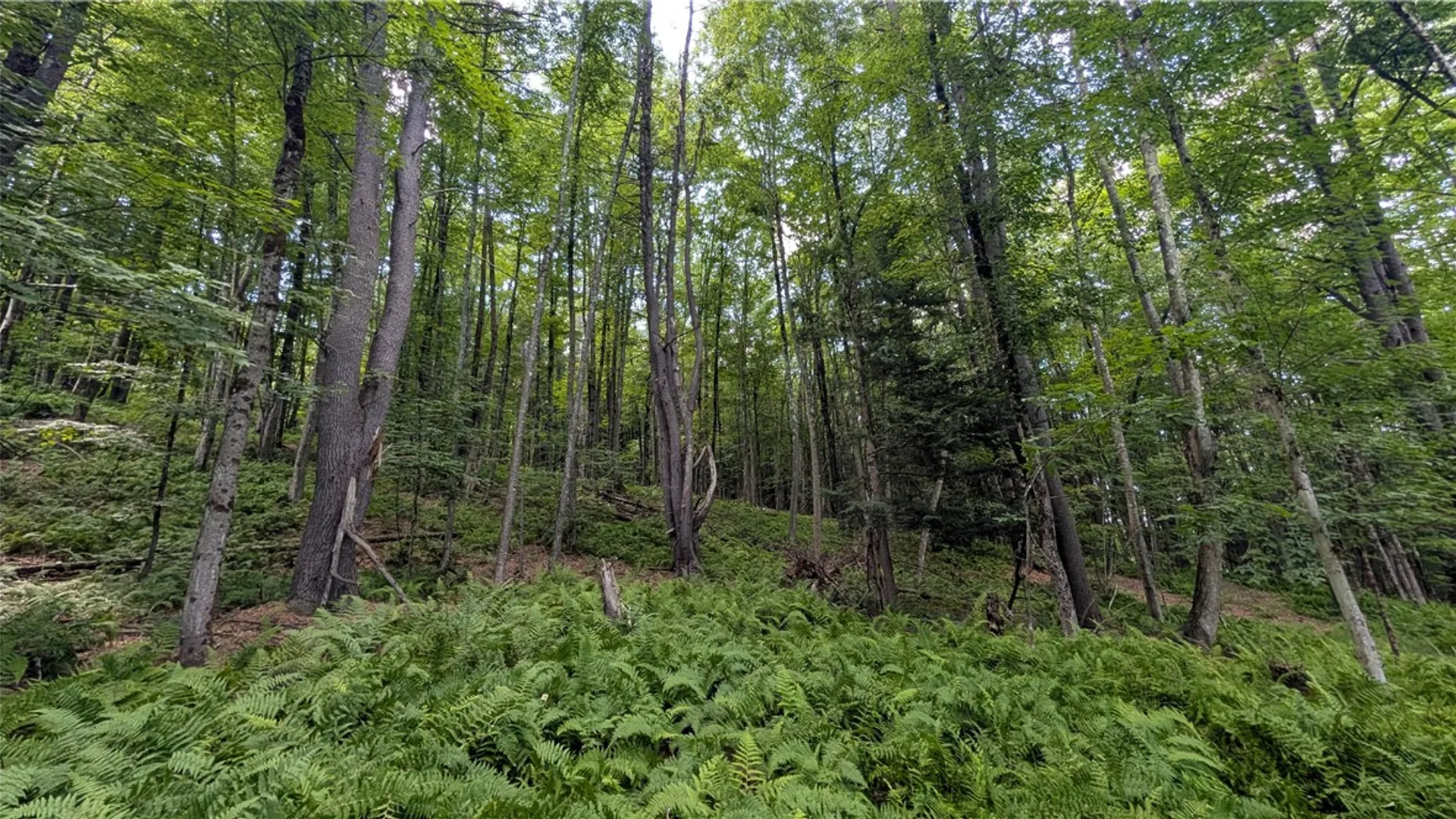 Property at 2592 County Highway 8, Otego, NY 13825 24