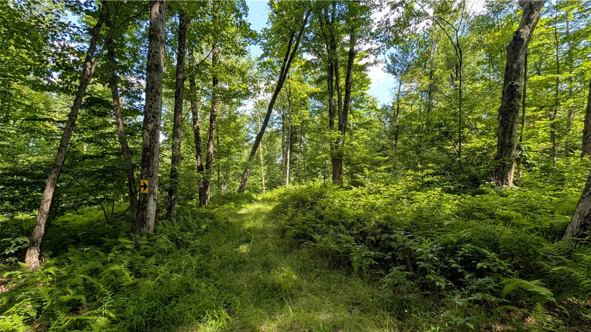 Property at 2592 County Highway 8, Otego, NY 13825 26