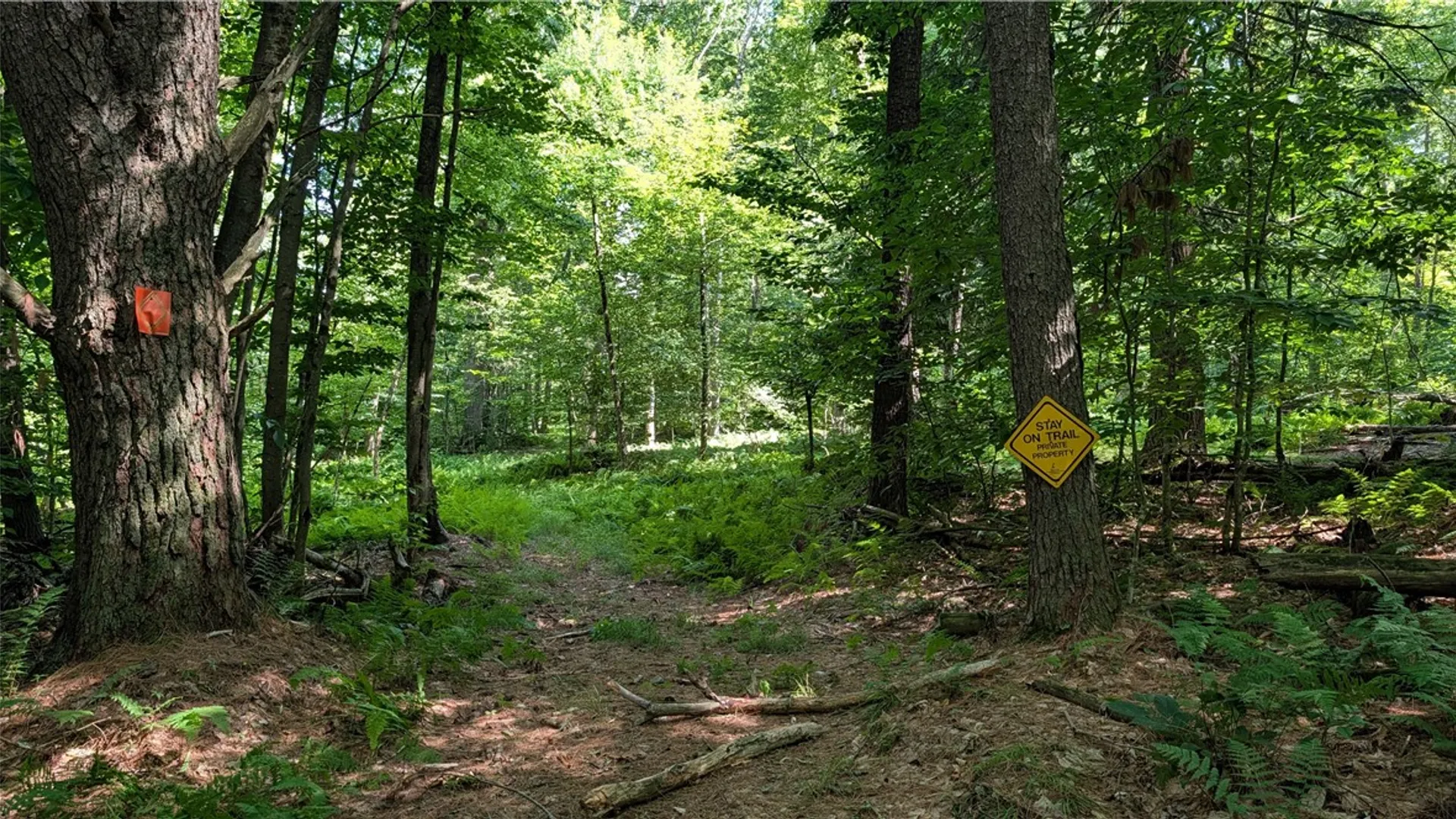 Property at 2592 County Highway 8, Otego, NY 13825 29