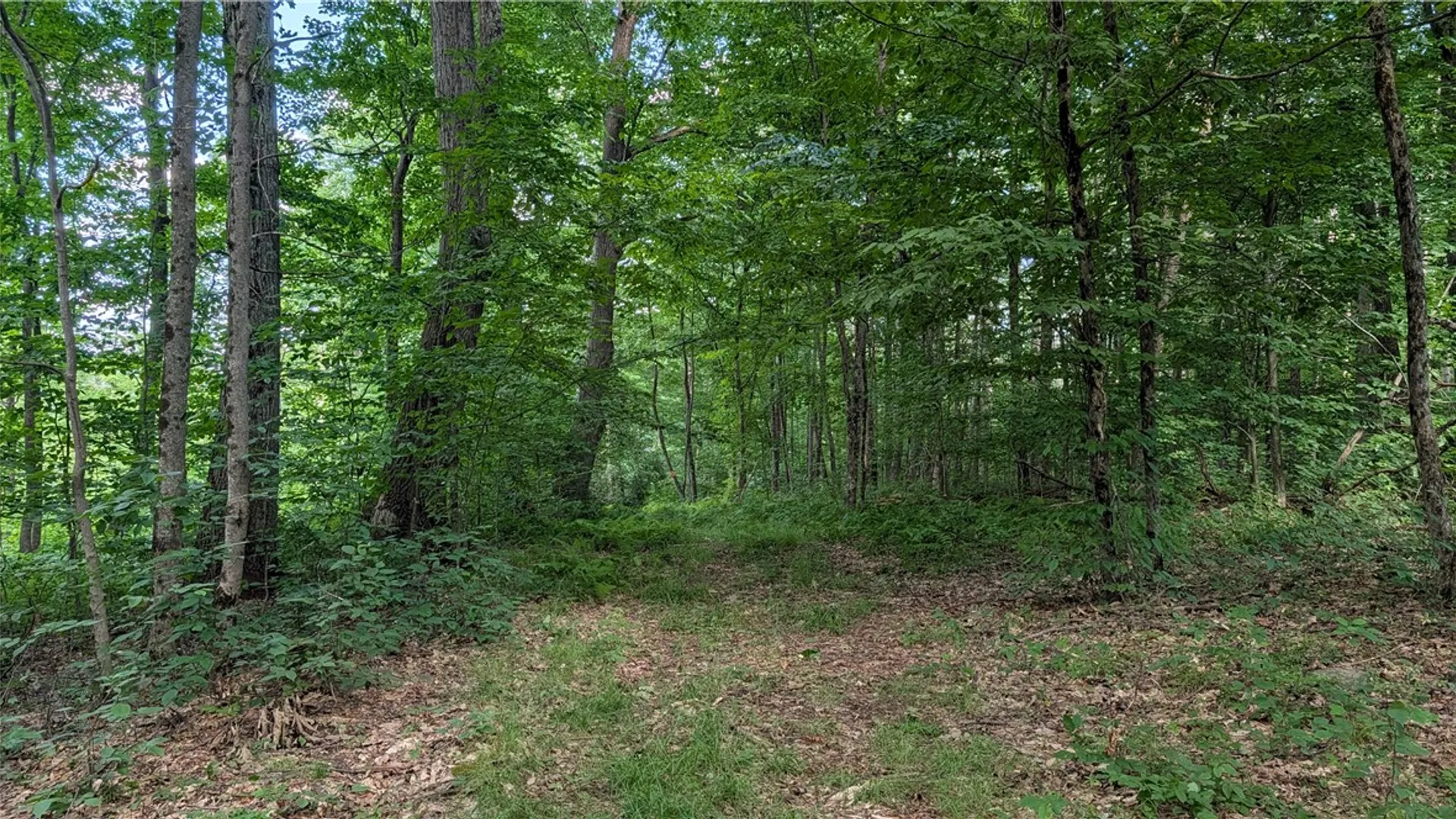 Property at 2592 County Highway 8, Otego, NY 13825 30