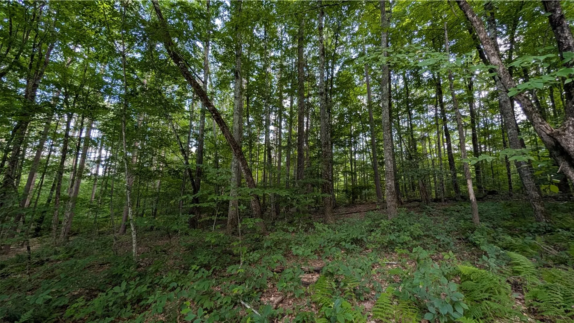 Property at 2592 County Highway 8, Otego, NY 13825 31
