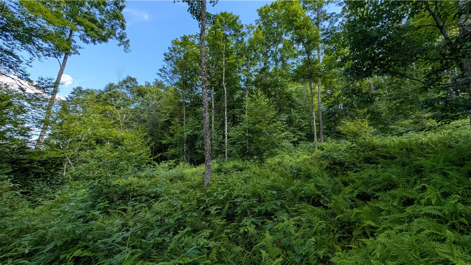 Property at 2592 County Highway 8, Otego, NY 13825 32