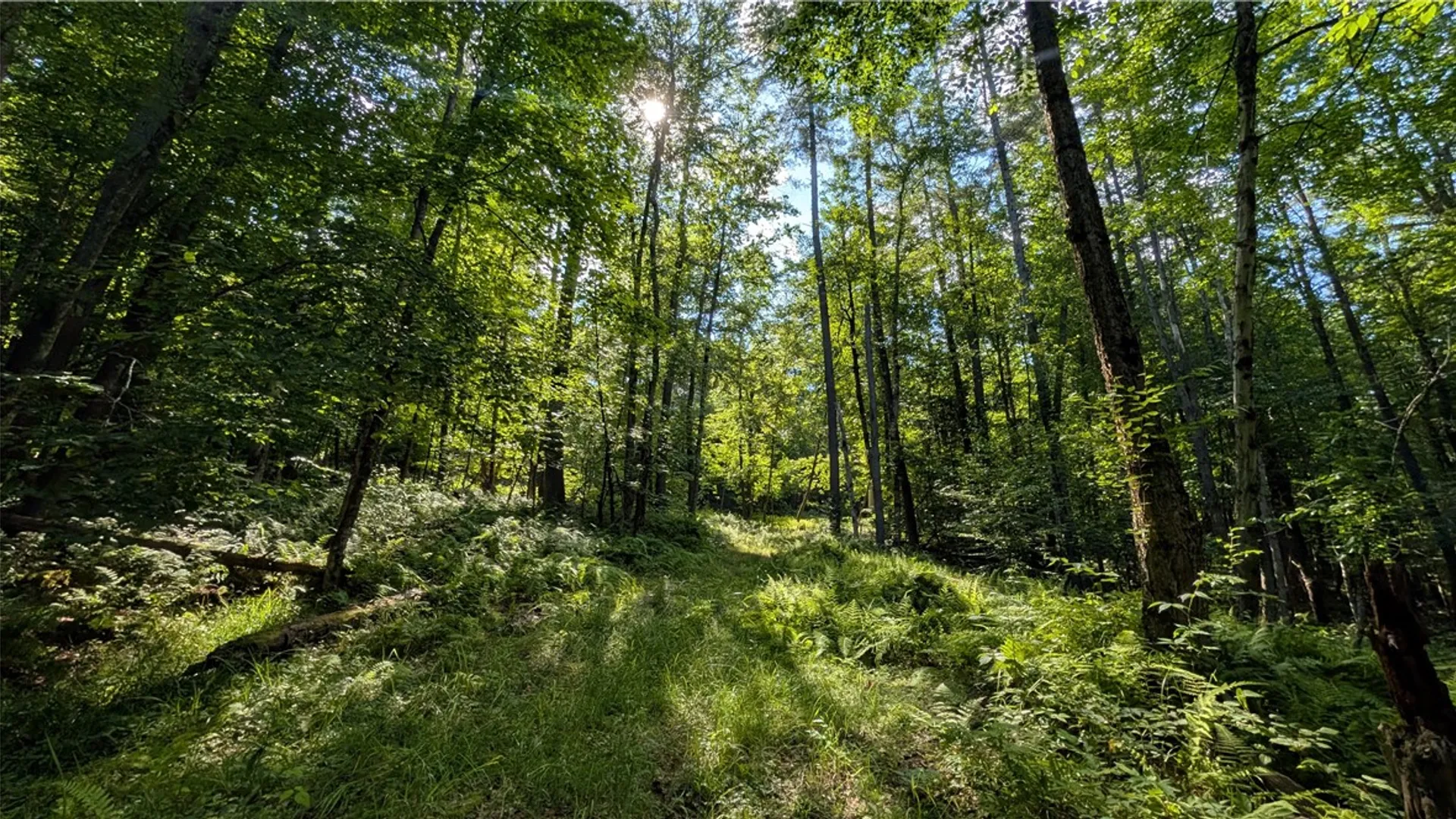 Property at 2592 County Highway 8, Otego, NY 13825 33