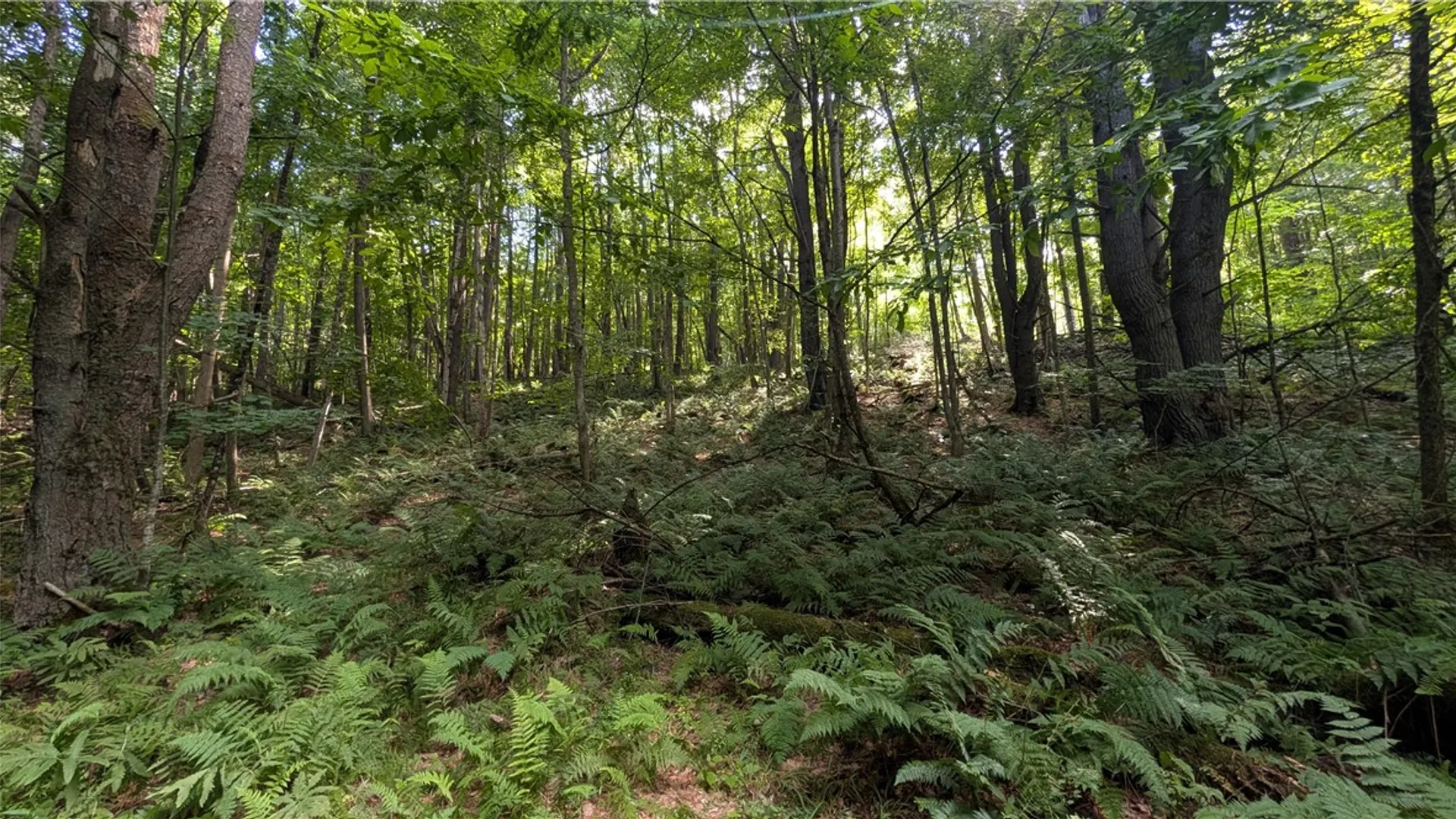 Property at 2592 County Highway 8, Otego, NY 13825 34