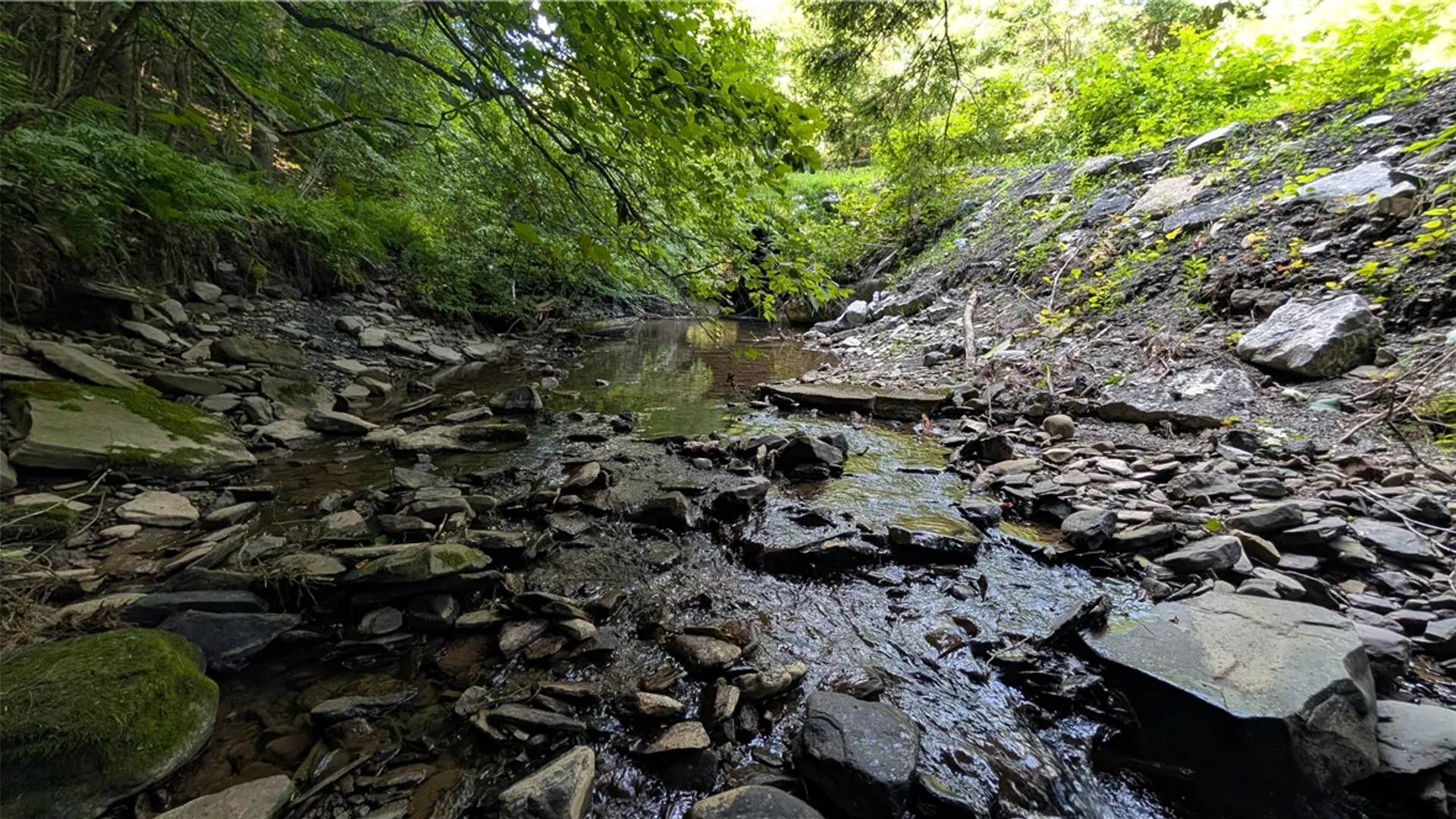Property at 2592 County Highway 8, Otego, NY 13825 38