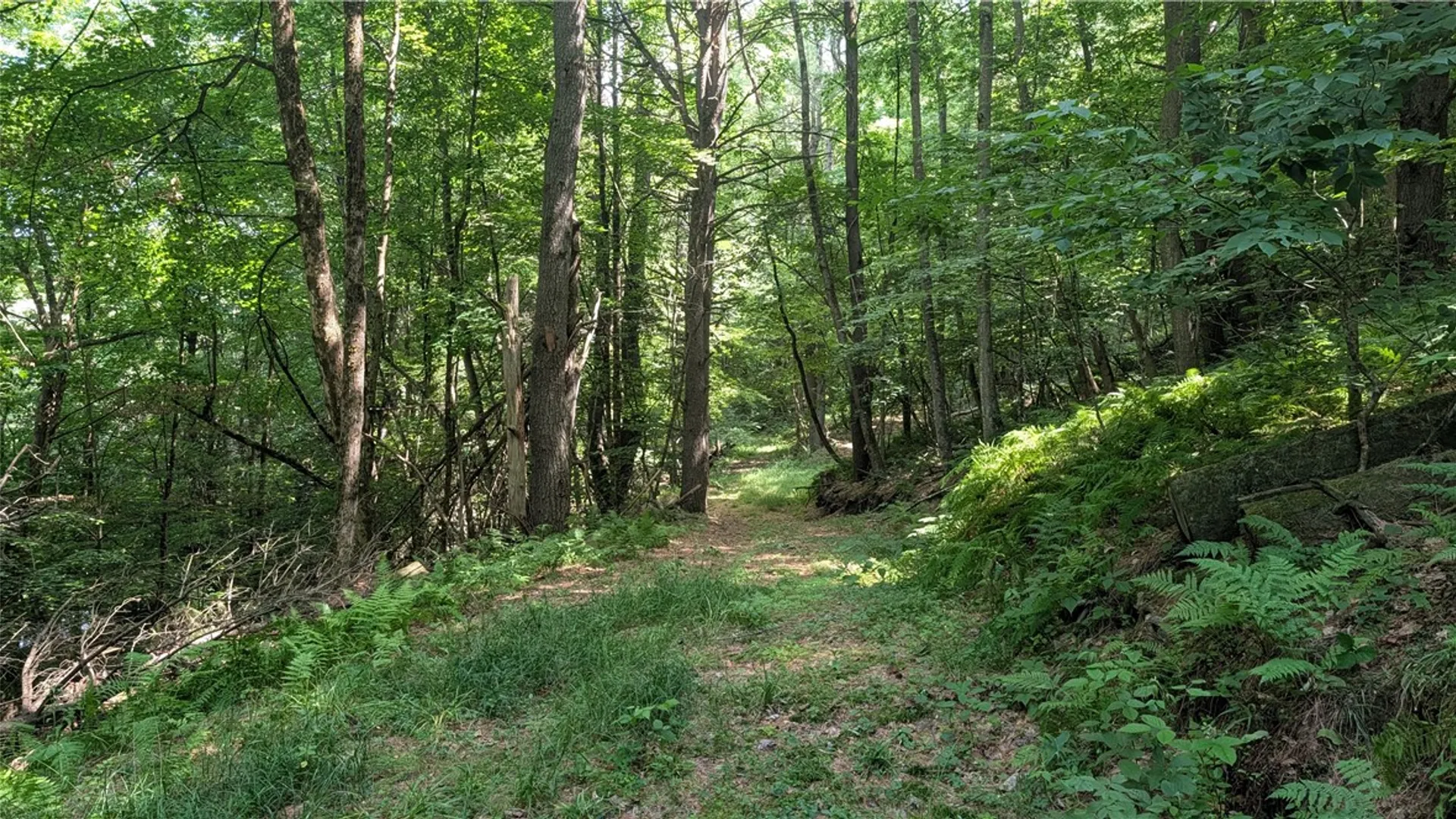 Property at 2592 County Highway 8, Otego, NY 13825 9