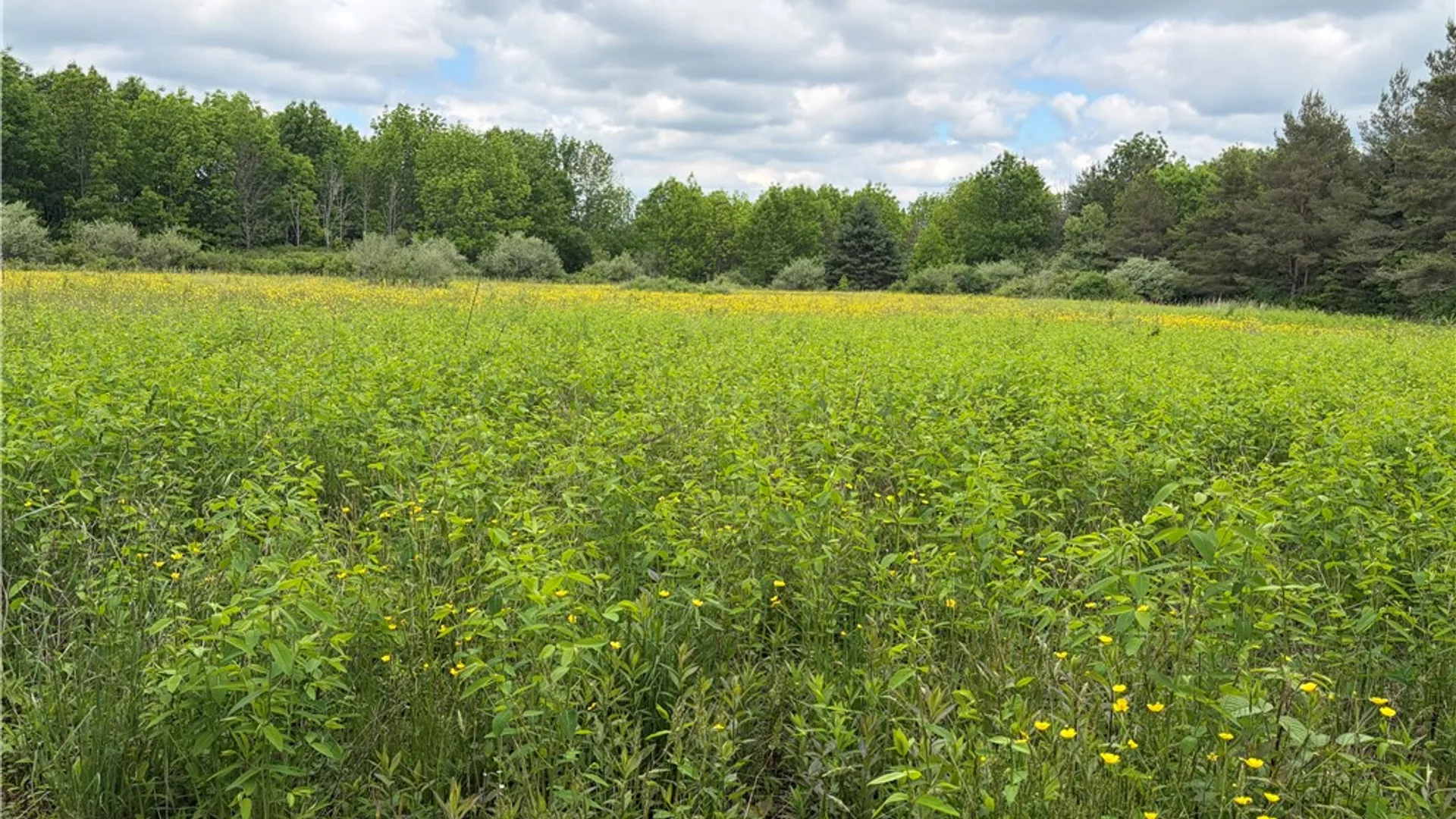 Property at 2571 Delude Hill Road, Nunda, NY 14517 48