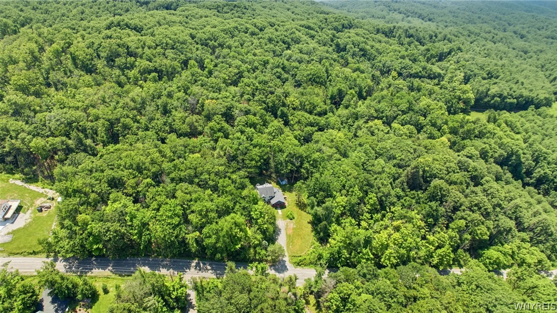 Property at 8709 Heath Road, Colden, NY 14033 39