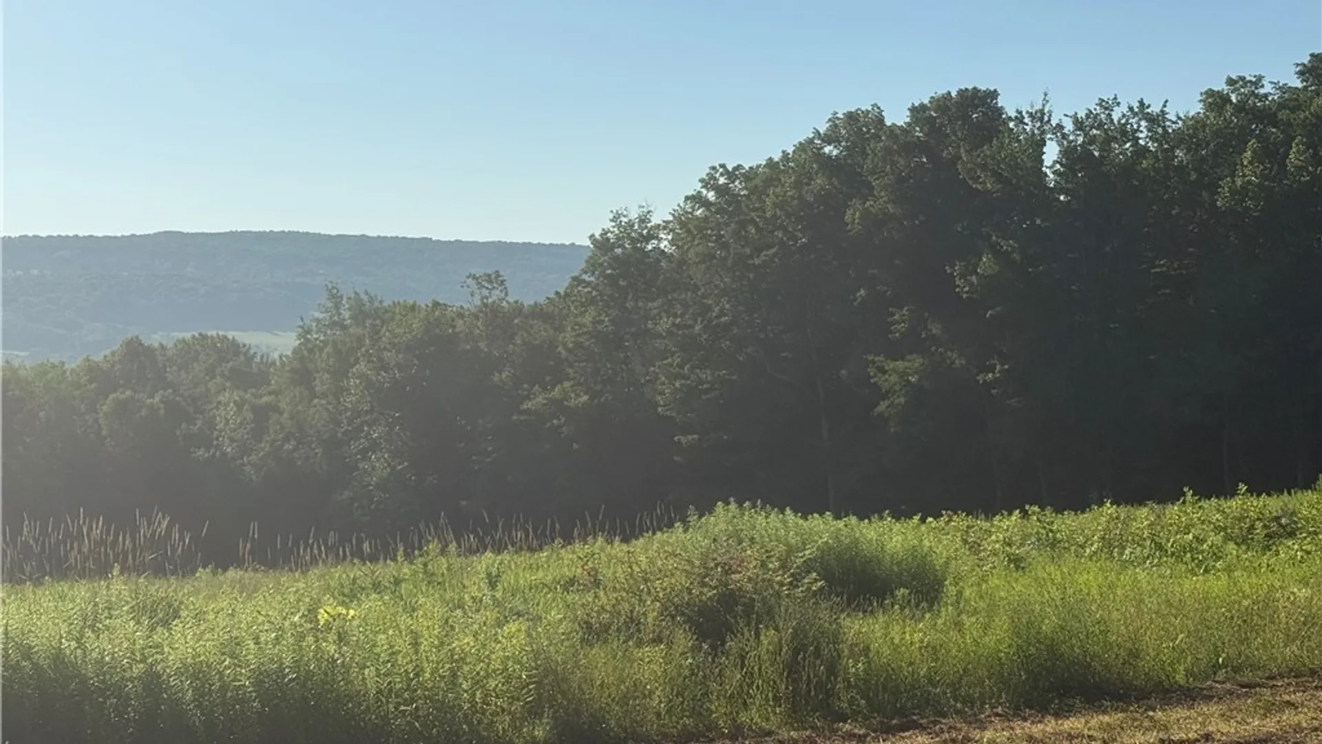 Property at part of 2299 Glencove Road, Spafford, NY 13110 8