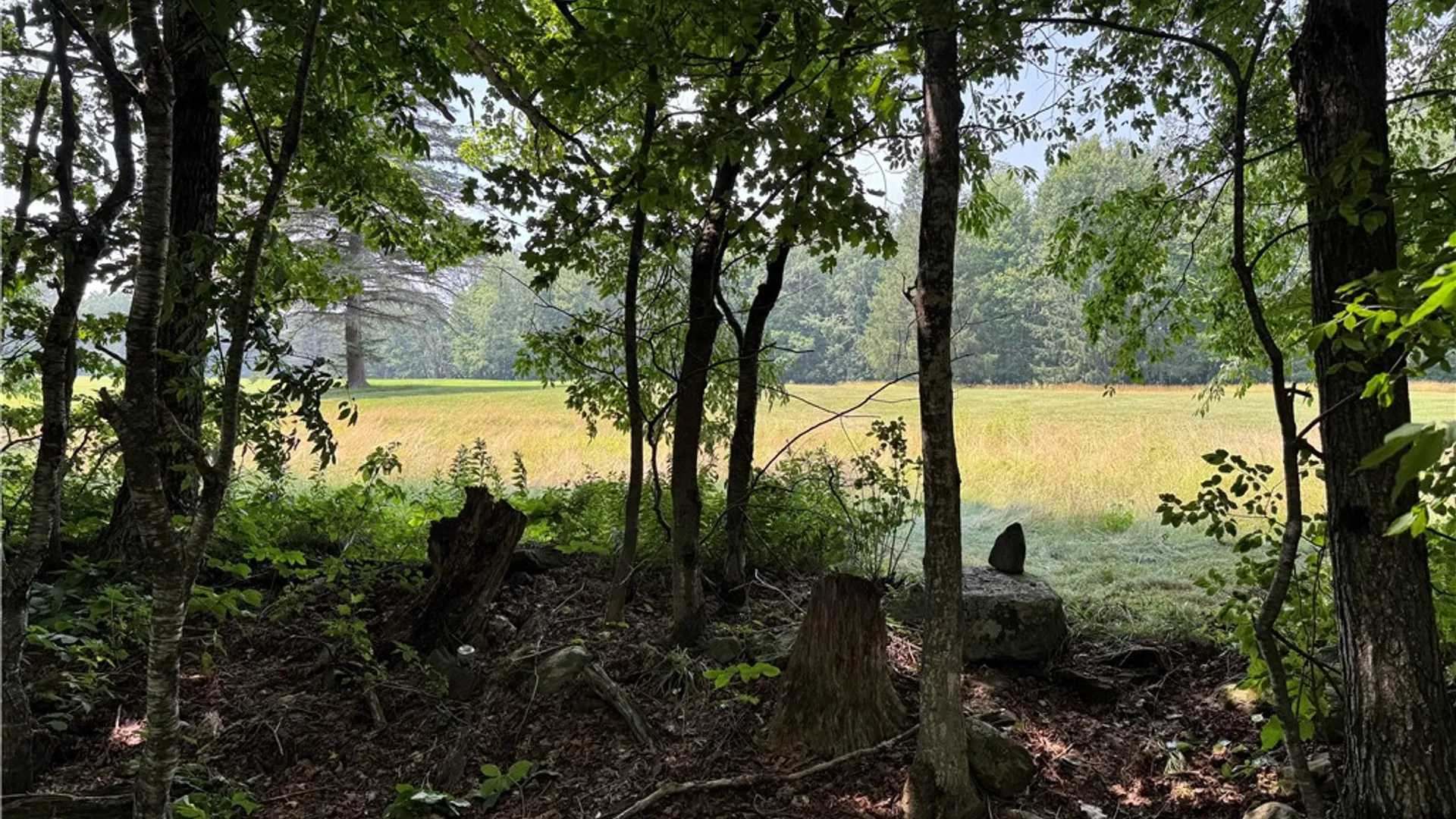 Property at 549 Terry Road, Harpersfield, NY 12167 13