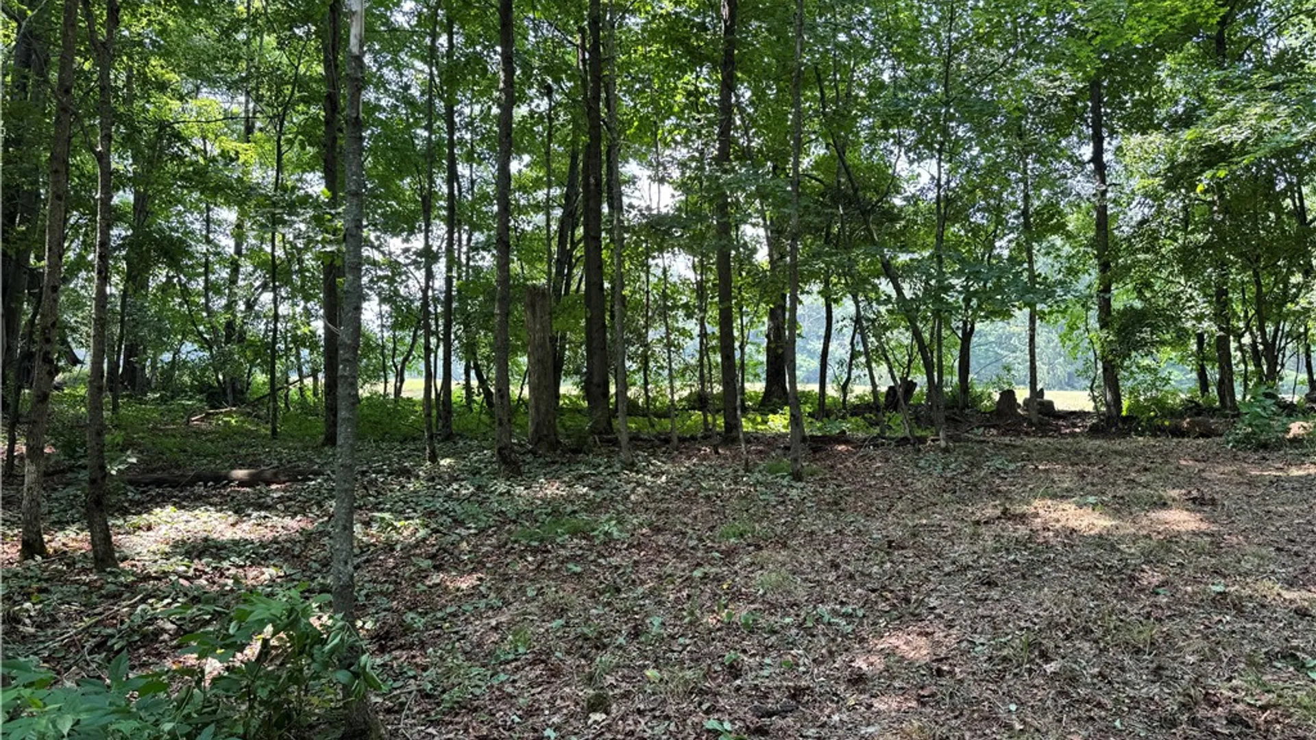 Property at 549 Terry Road, Harpersfield, NY 12167 48