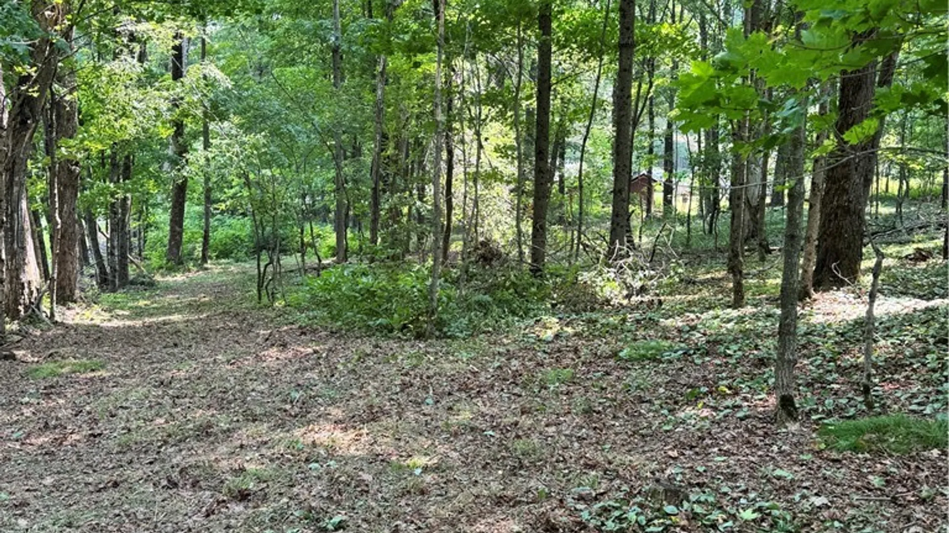Property at 549 Terry Road, Harpersfield, NY 12167 49