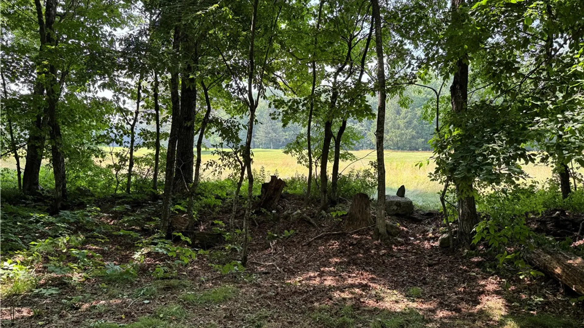 Property at 549 Terry Road, Harpersfield, NY 12167 50