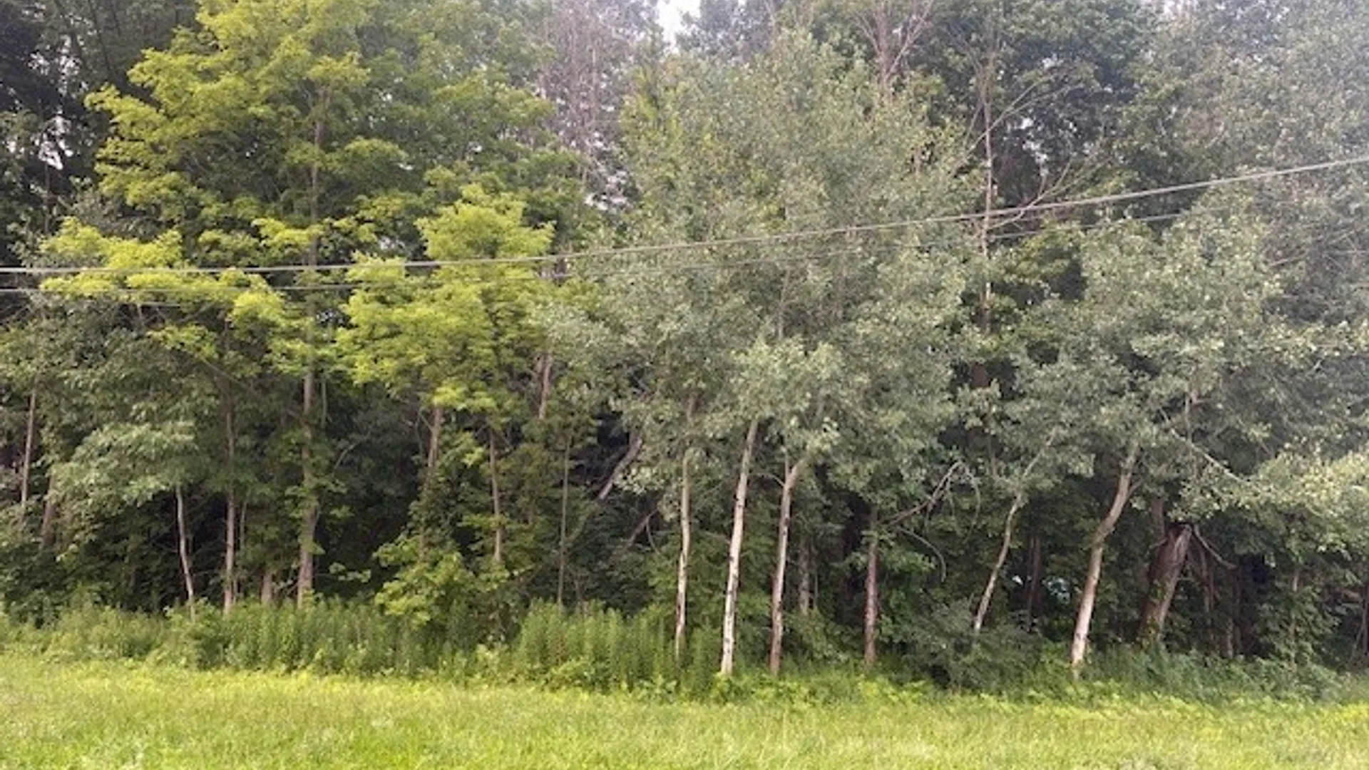 Property at Chase Road, Granby, NY 13069 2