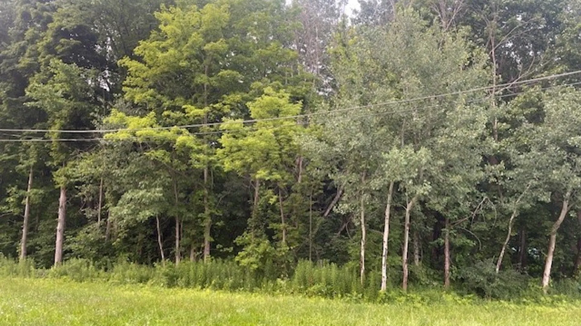 Property at Chase Road, Granby, NY 13069 3