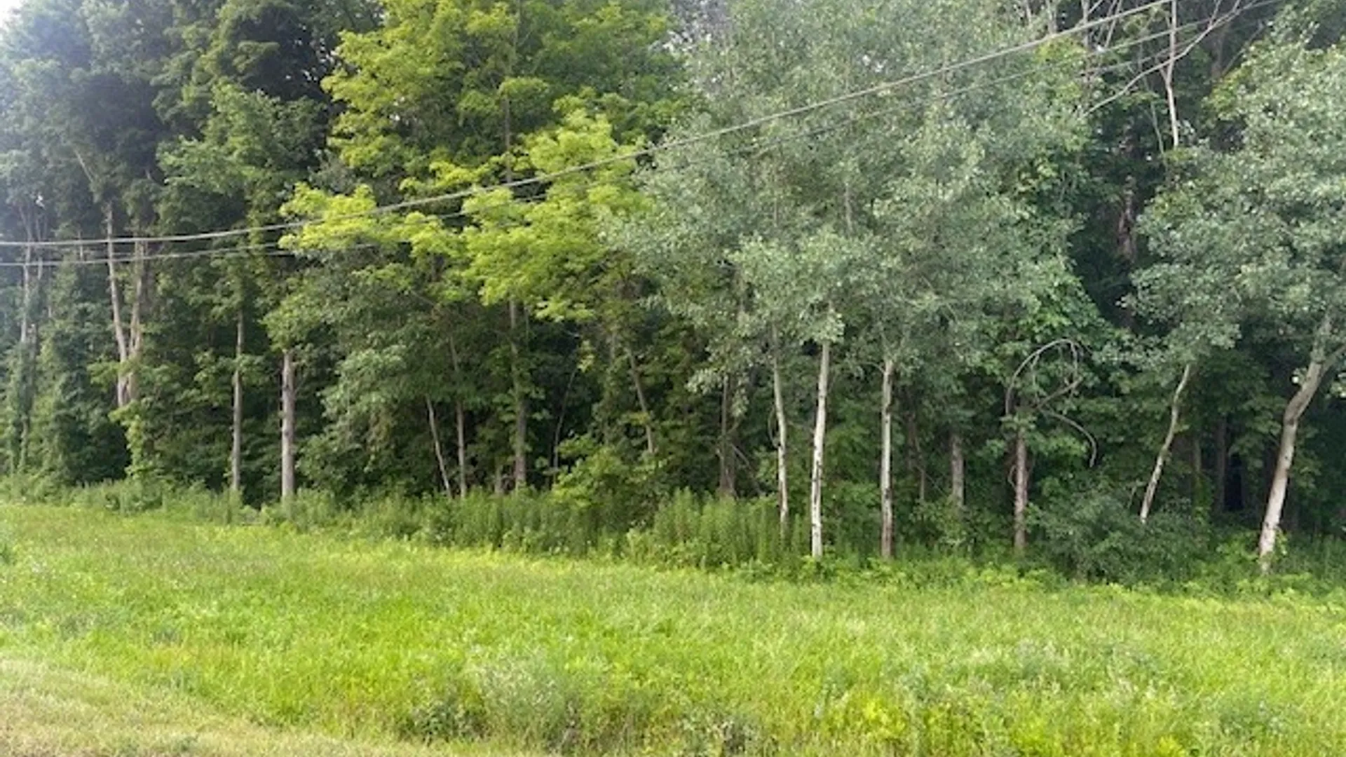 Property at Chase Road, Granby, NY 13069 4