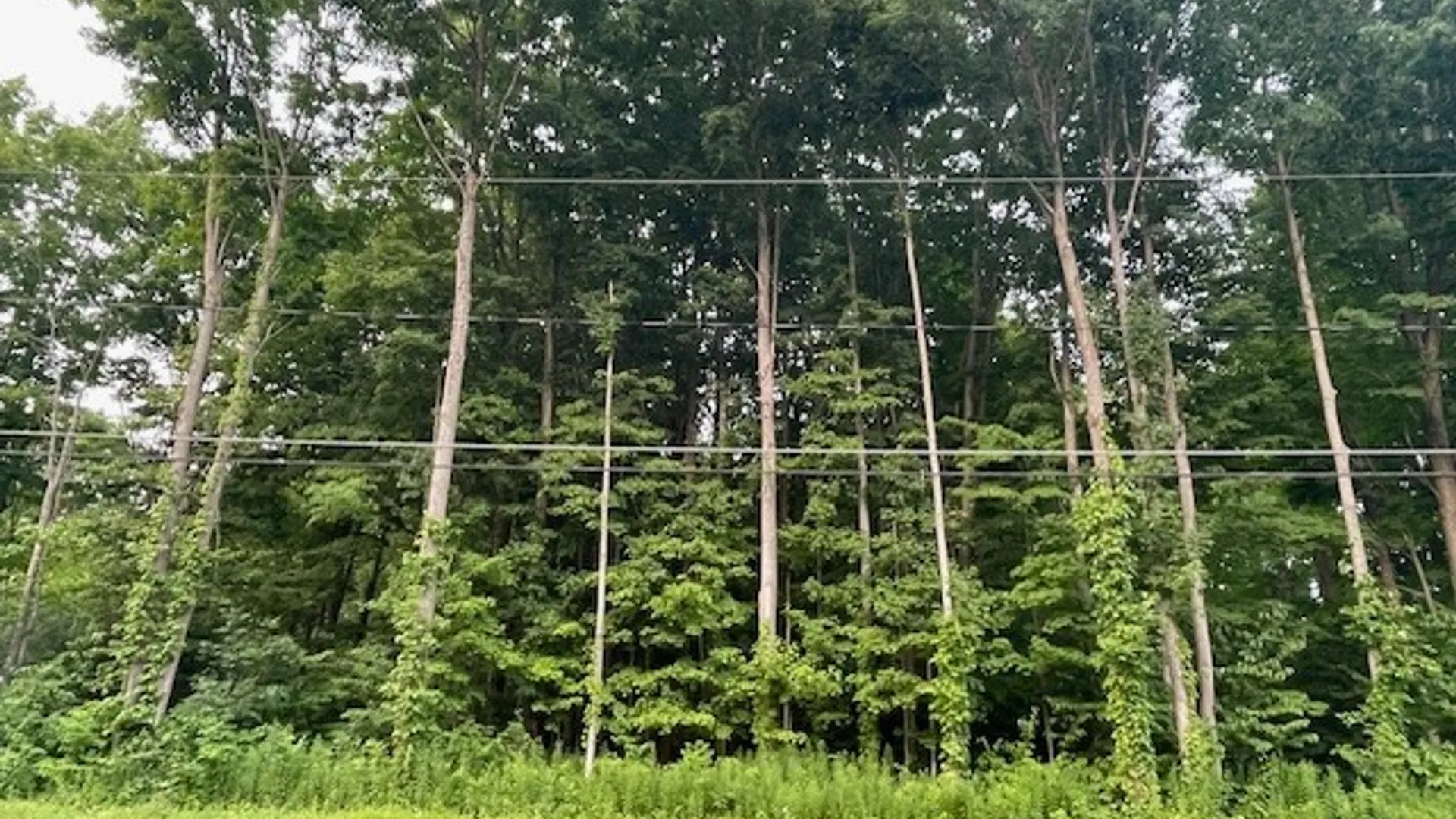 Property at Chase Road, Granby, NY 13069 6