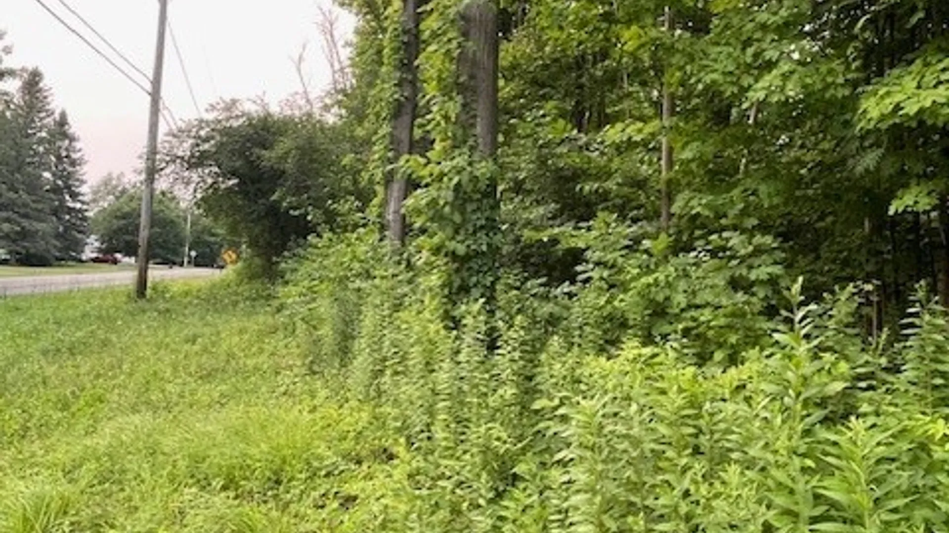 Property at Chase Road, Granby, NY 13069 8