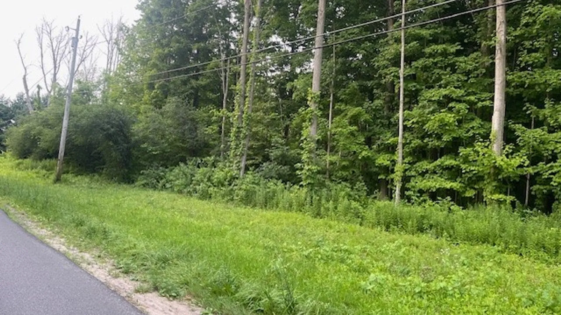 Property at Chase Road, Granby, NY 13069 11
