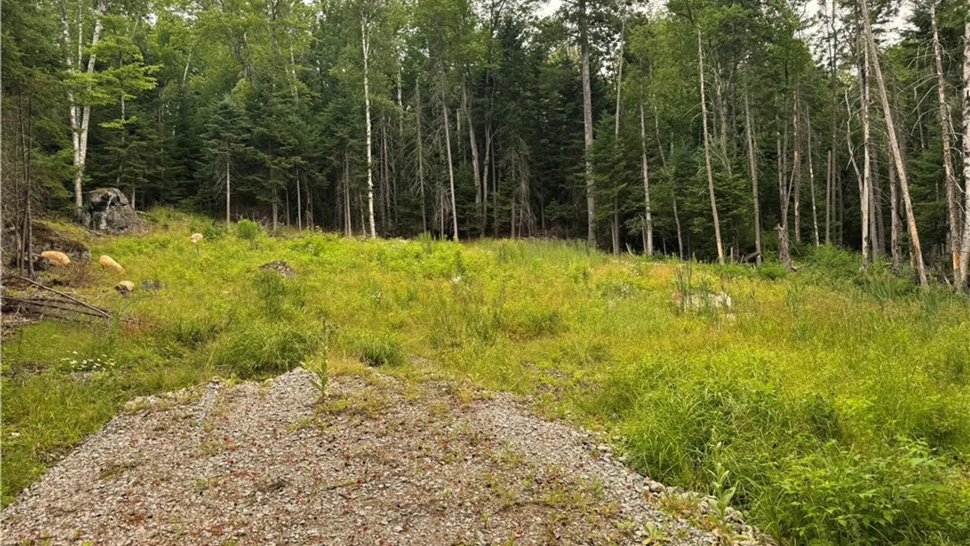 Property at L@# LAke Snow Road, Indian Lake, NY 12842 5