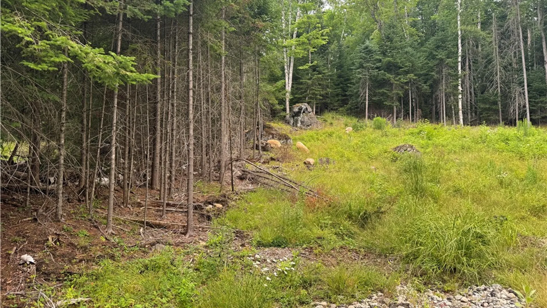 Property at L@# LAke Snow Road, Indian Lake, NY 12842 6