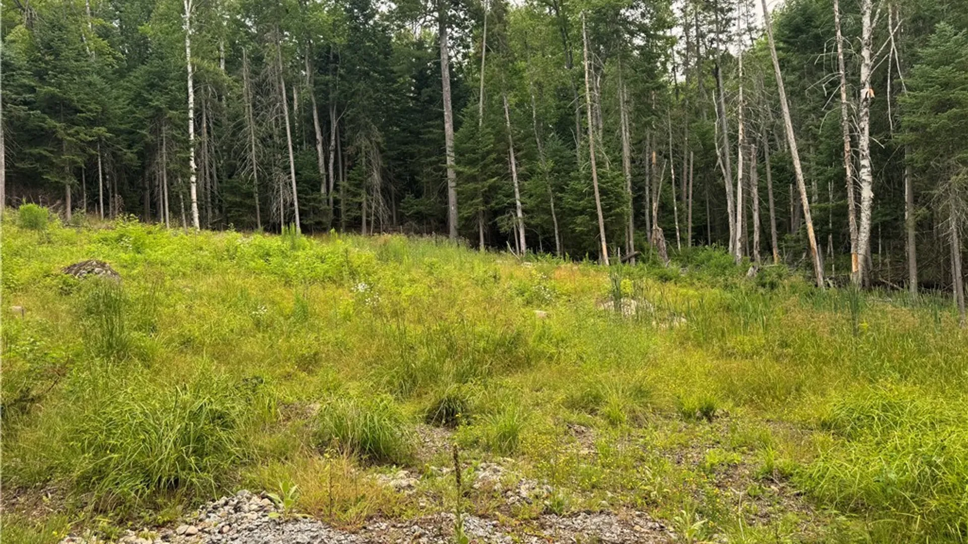 Property at L@# LAke Snow Road, Indian Lake, NY 12842 7