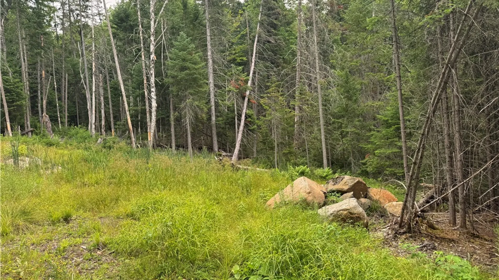 Property at L@# LAke Snow Road, Indian Lake, NY 12842 8