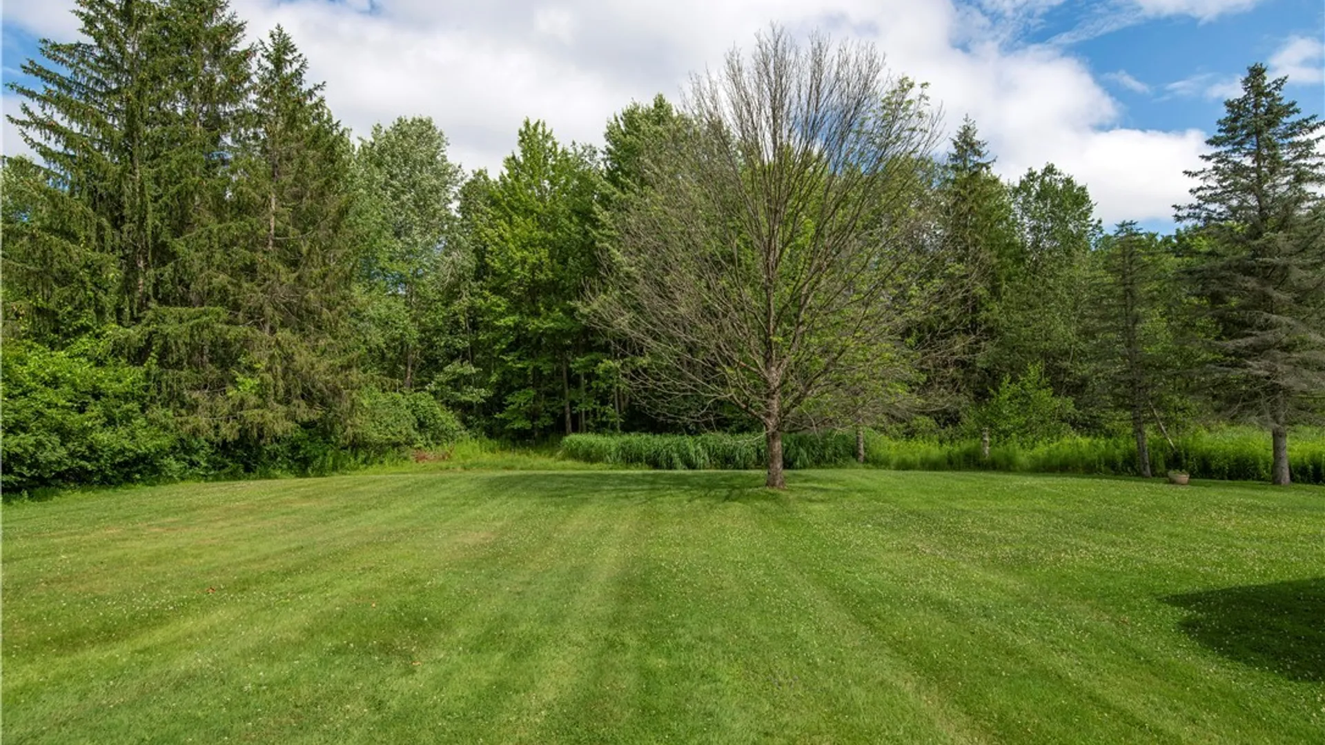Property at 8167 Clark Mills Road, Whitestown, NY 13492 11