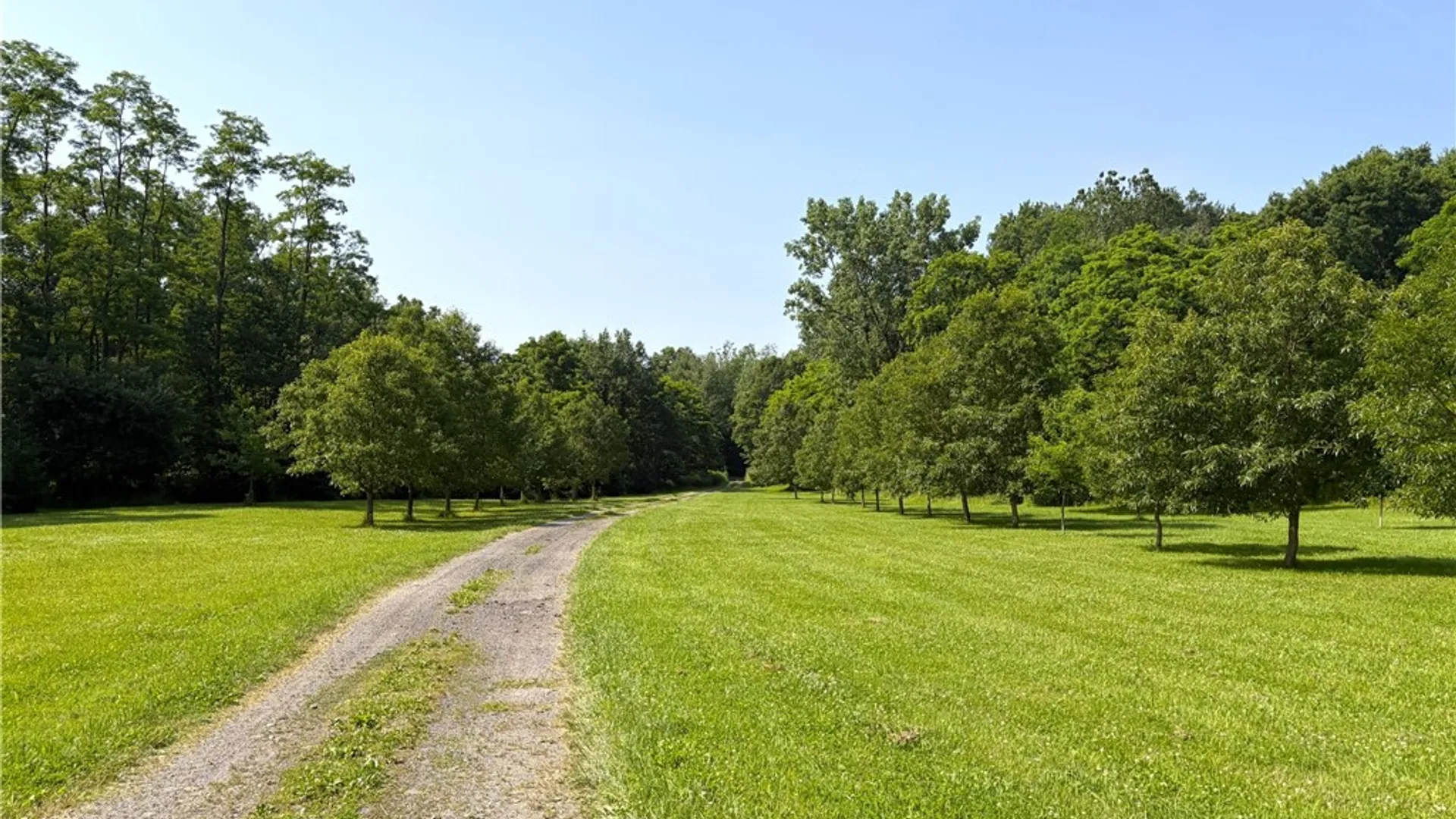 Property at 9337 Route 60, Pomfret, NY 14063 12
