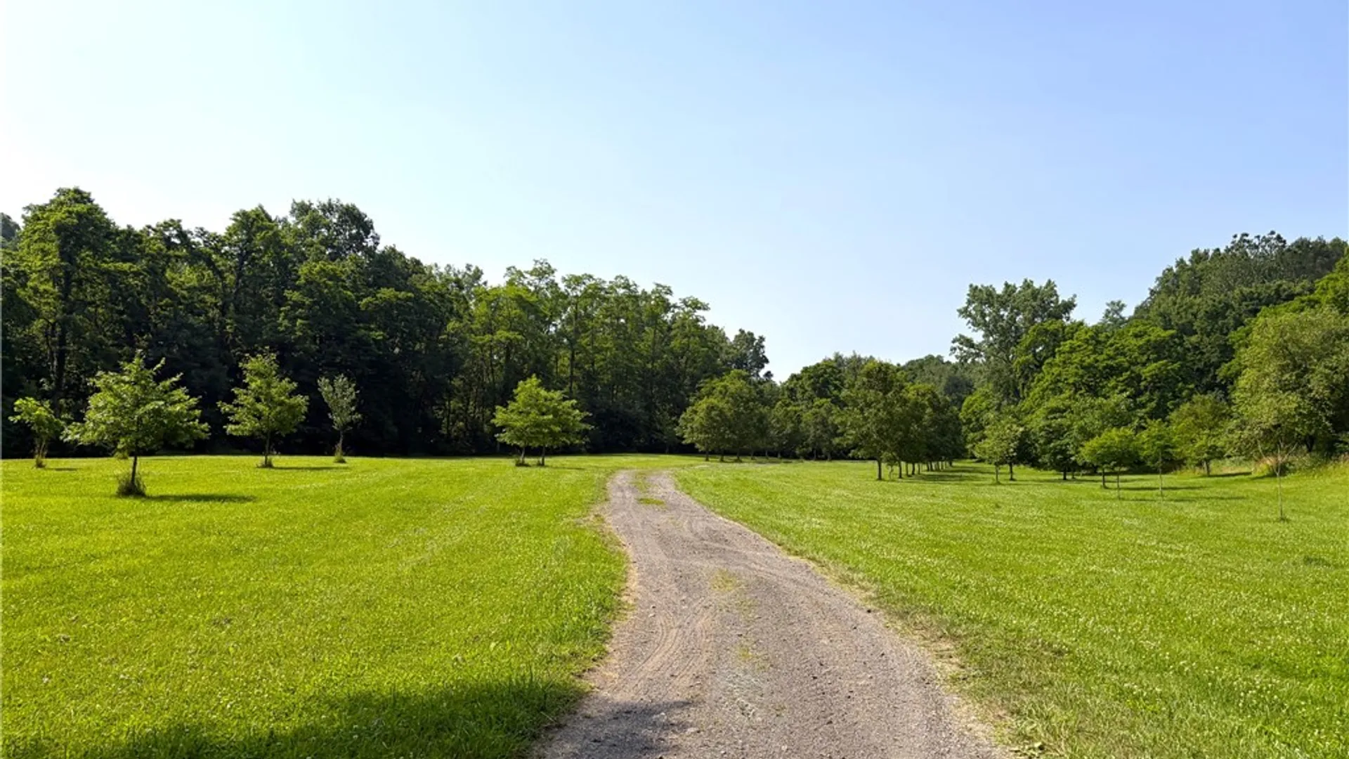 Property at 9337 Route 60, Pomfret, NY 14063 13