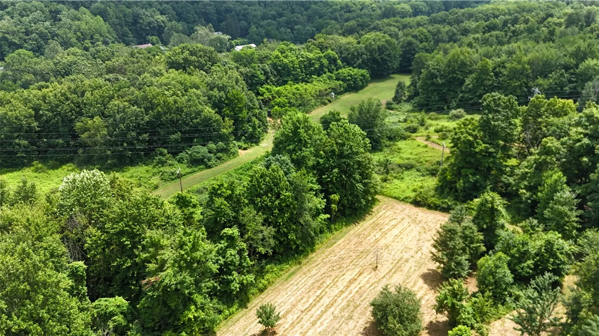 Property at 9337 Route 60, Pomfret, NY 14063 30