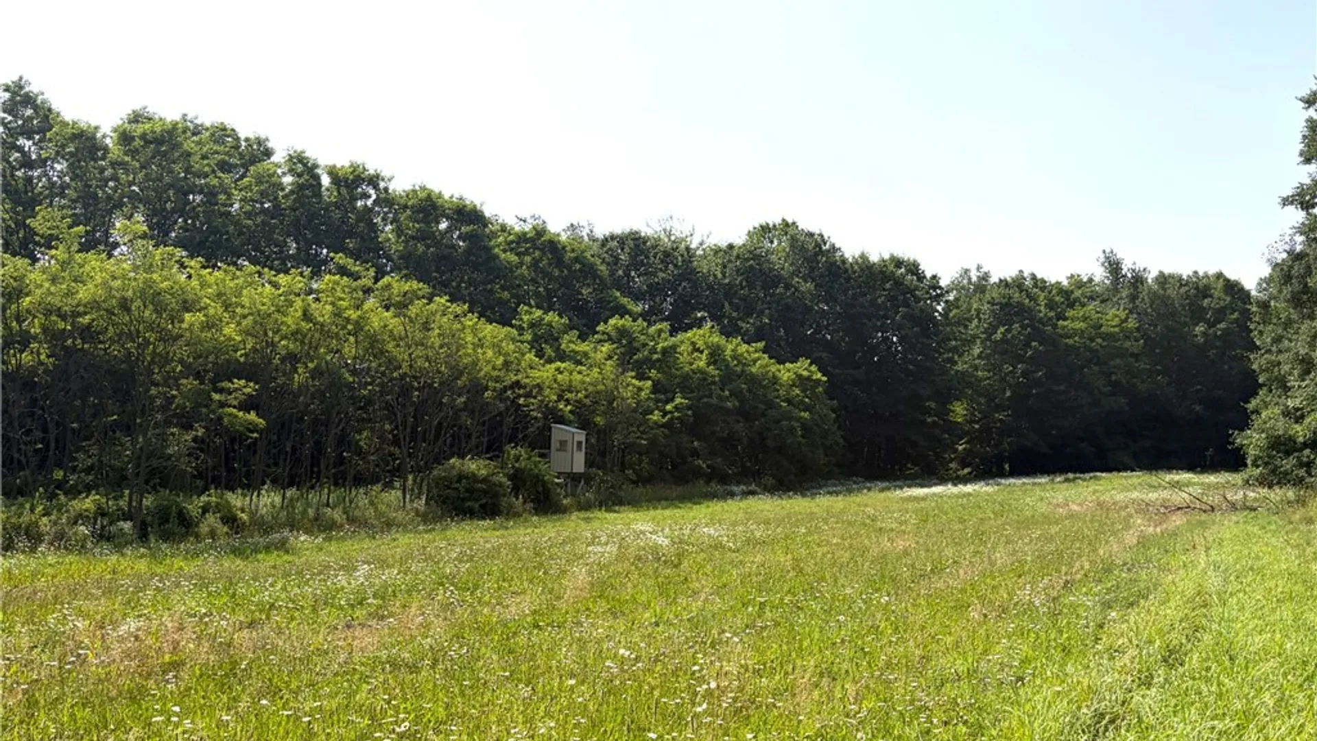 Property at 9337 Route 60, Pomfret, NY 14063 35