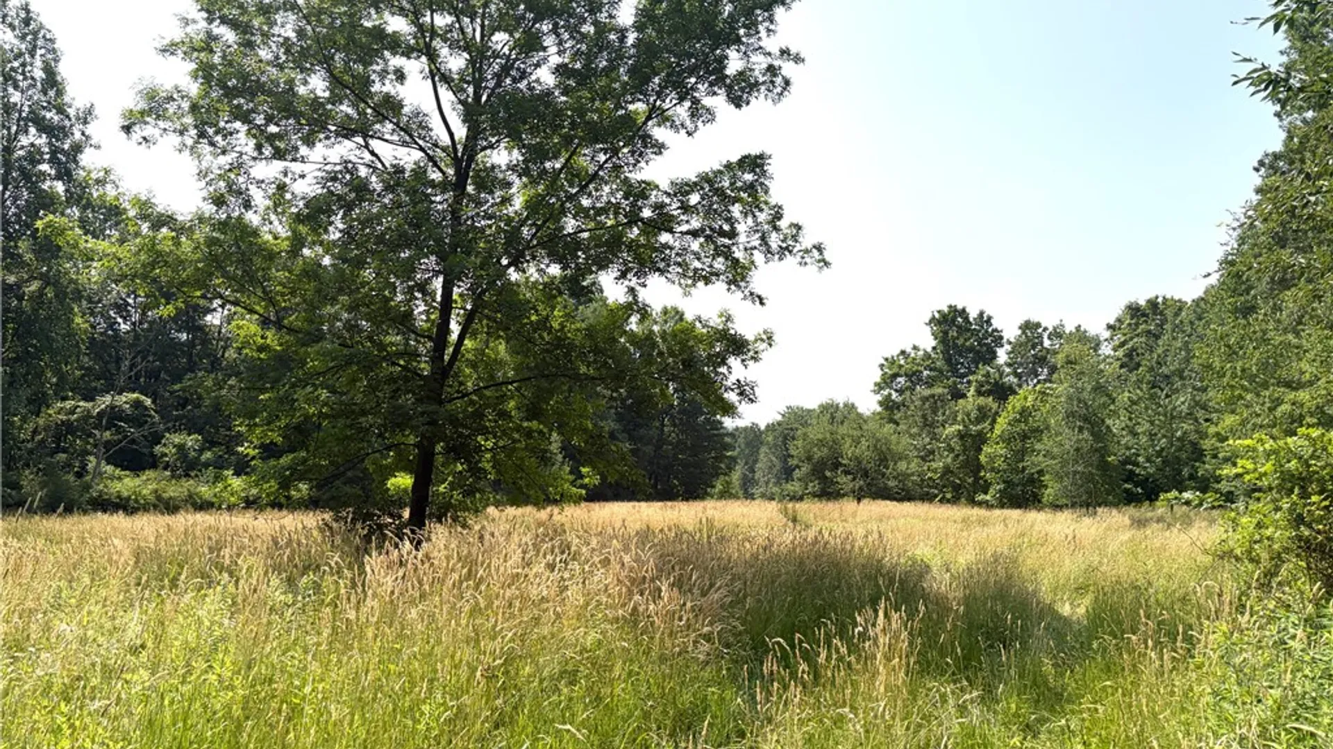 Property at 9337 Route 60, Pomfret, NY 14063 38