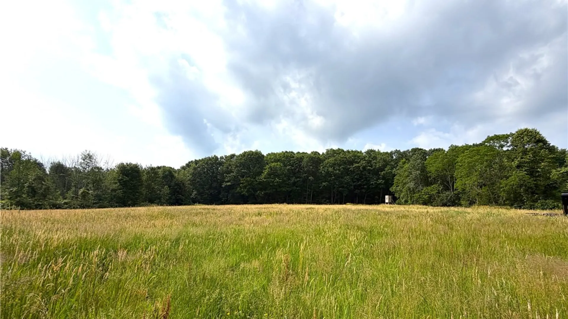 Property at 9337 Route 60, Pomfret, NY 14063 41