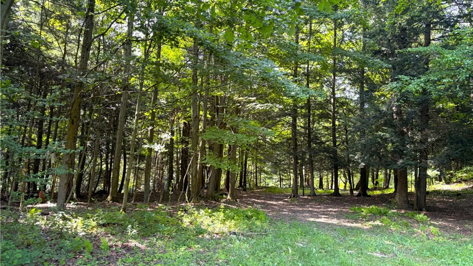 Property at 9337 Route 60, Pomfret, NY 14063 46