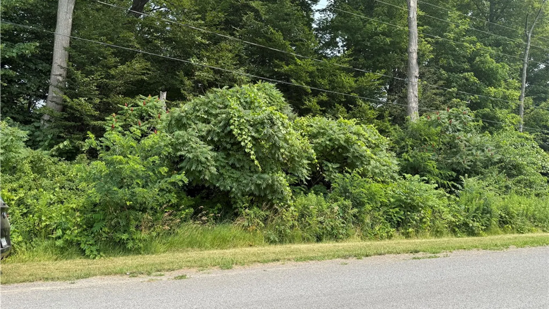 Property at 0 Wilson Ext Road, Carlton, NY 14411 3